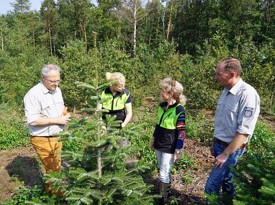 Auf der Suche nach den Bäumen der Zukunft (Foto: Dr. Horst Sproßmann - ThüringenForst) Auf der Suche nach den Bäumen der Zukunft (Foto: Dr. Horst Sproßmann - ThüringenForst)