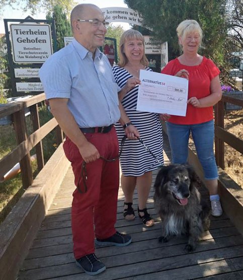 Hilfe für Katzen-Quarantäne-Station (Foto: Wahlkreisbüro) Hilfe für Katzen-Quarantäne-Station (Foto: Wahlkreisbüro)