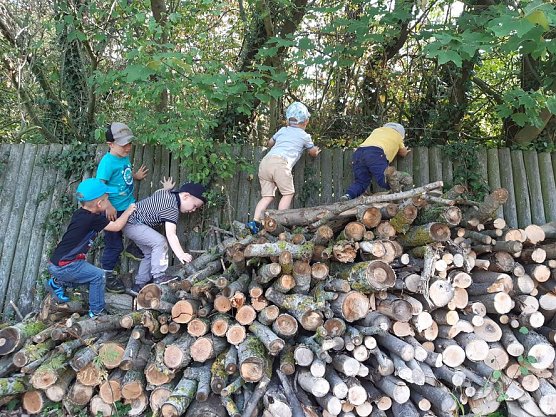 Waldzeit in der Kindertagesstätte Pfiffikus” (Foto: Kita Ringleben) Waldzeit in der Kindertagesstätte Pfiffikus” (Foto: Kita Ringleben)