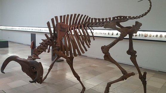 Eine Reise in die Vergangenheit (Foto: Dorothea Kieper) Eine Reise in die Vergangenheit (Foto: Dorothea Kieper)