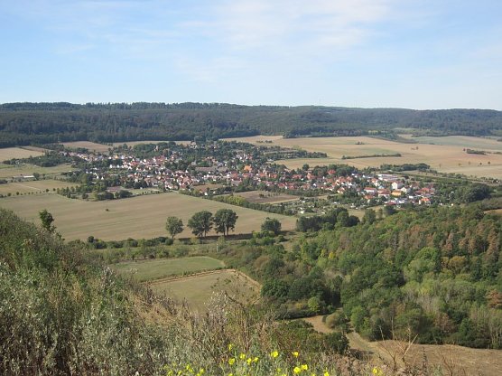 Ansturm auf die Kalir&uuml;ckstandshalde (Foto: privat)