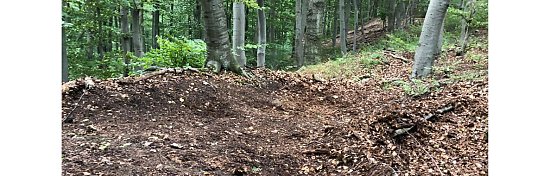 Neue Mountainbike-Strecke entsteht im Possenwald (Foto: Thomas Zelmer)