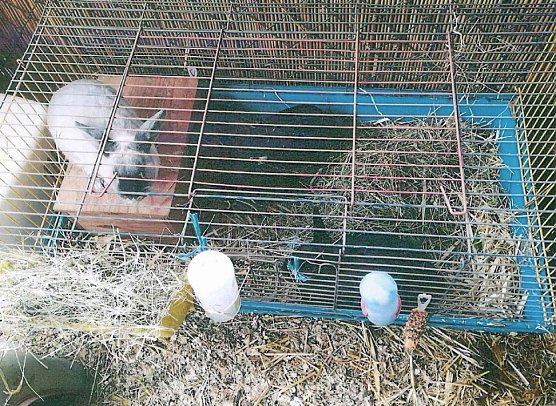 Wer erkennt die Taschen? (Foto: Polizei) Wer erkennt die Taschen? (Foto: Polizei)