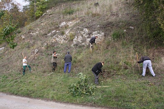 Aktionstag Landschaftspflege (Foto: Sabine Pusch)