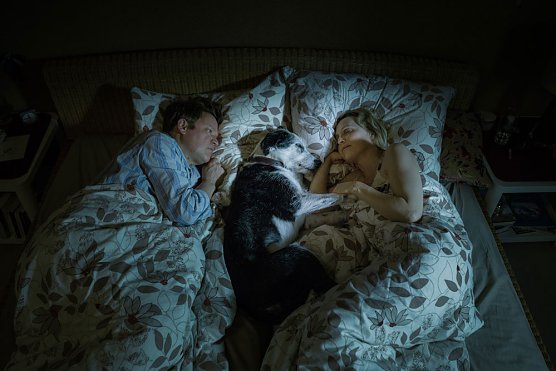 Der Hund begraben (Foto: Movienet)