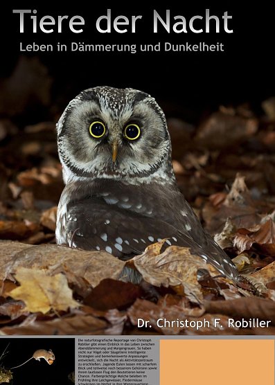 Tiere der Nacht... (Foto: Regionalmuseum Bad Frankenhausen) Tiere der Nacht... (Foto: Regionalmuseum Bad Frankenhausen)