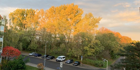 wetter (Foto: oas) wetter (Foto: oas)