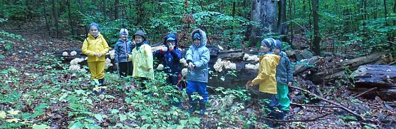 Aktuelles aus der Natura2000- Station Possen e.V. (Foto: Nicol Pfefferlein) Aktuelles aus der Natura2000- Station Possen e.V. (Foto: Nicol Pfefferlein)