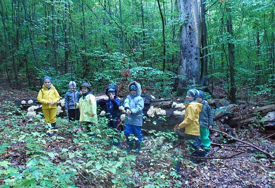 Aktuelles aus der Natura2000- Station Possen e.V. (Foto: Nicol Pfefferlein) Aktuelles aus der Natura2000- Station Possen e.V. (Foto: Nicol Pfefferlein)