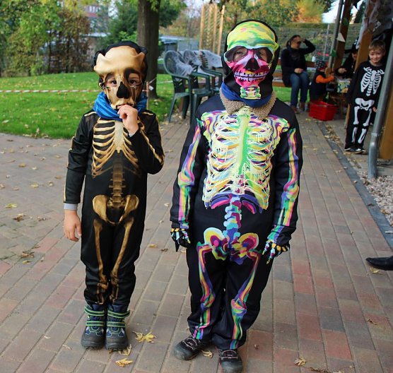 Grusliges im K&auml;ferland (Foto: Karl-Heinz Herrmann)
