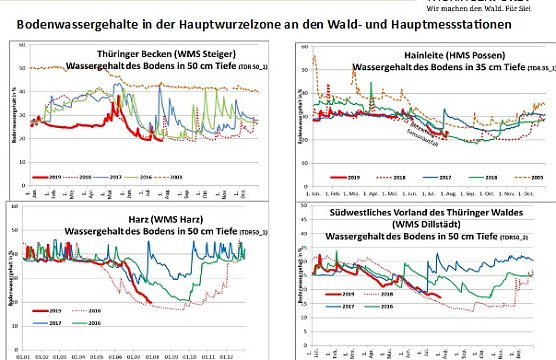 Waldzustand ist d&uuml;sterer als erwartet (Foto: Th&uuml;ringenForst)