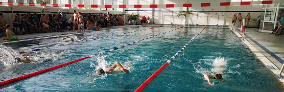Kreisjugendspiele im Schwimmen durchgeführt (Foto: Lothar Girschele) Kreisjugendspiele im Schwimmen durchgeführt (Foto: Lothar Girschele)
