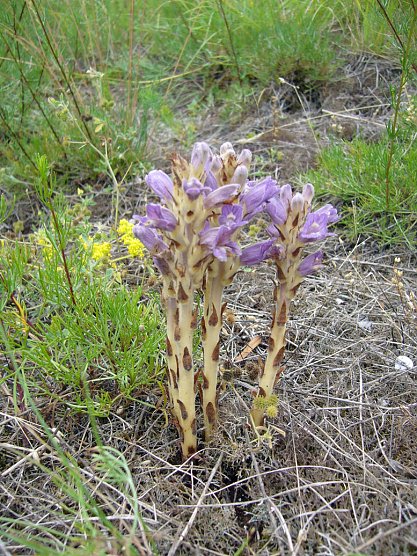 Wieder Pflegetag (Foto: J. Pusch)