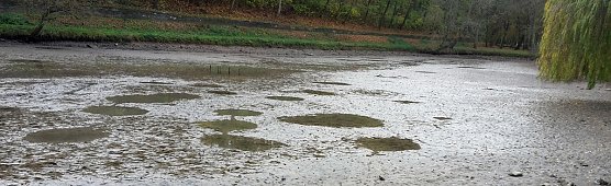 Blutspendetermine, Parkteich und Lampionumzug (Foto: Karl-Heinz Herrmann)