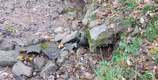 Blutspendetermine, Parkteich und Lampionumzug (Foto: Karl-Heinz Herrmann)