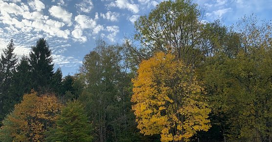 wetter (Foto: oas) wetter (Foto: oas)