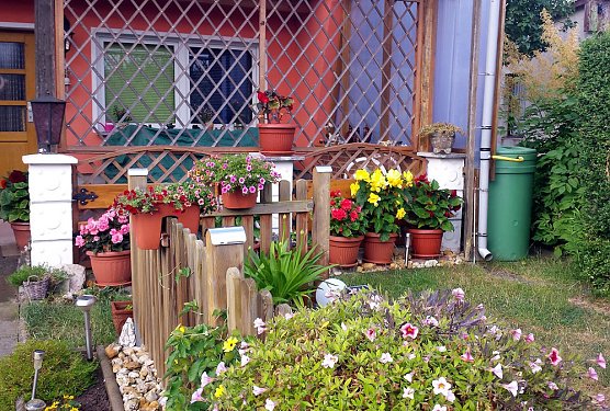 Das Gartenjahr 2019 geht zu Ende… (Foto: Norbert Rittweger) Das Gartenjahr 2019 geht zu Ende… (Foto: Norbert Rittweger)