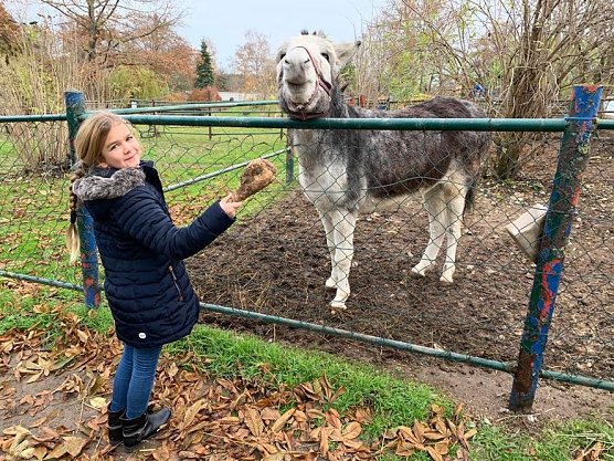 Futterspende f&uuml;r Kleine Wartburg (Foto: privat)