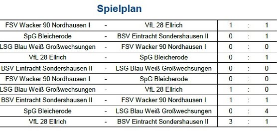 E-Junioren (Foto: NTKFA) E-Junioren (Foto: NTKFA)