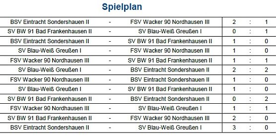 D-Junioren (Foto: NTKFA)