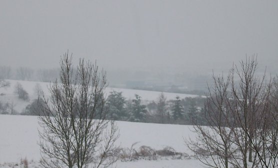 Schneefall Silvester (Foto: Karl-Heinz Herrmann)