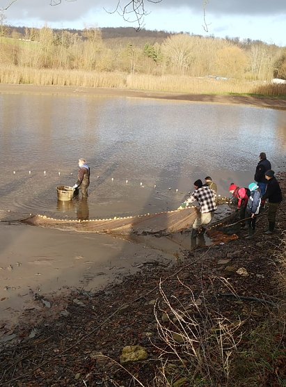Hammateich abgefischt (Foto: Klaus Schulz)