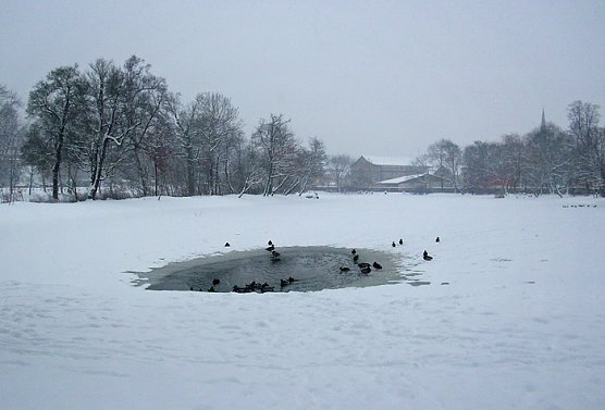 Parksee Schlosspark Sondershausen (Foto: Karl-Heinz Herrmann)