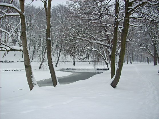 Parksee Schlosspark Sondershausen (Foto: Karl-Heinz Herrmann)
