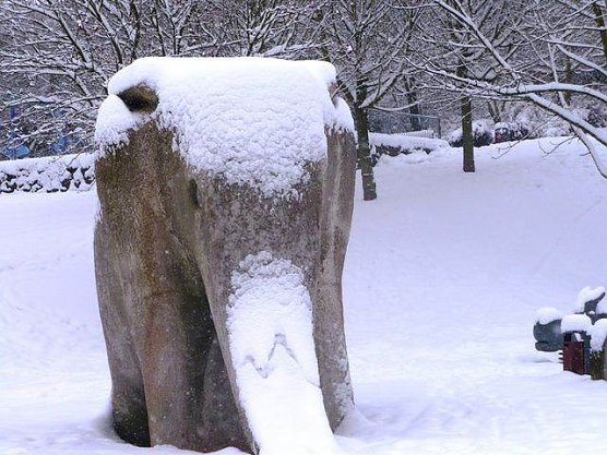 Winter im Borntal (Foto: Hans-J&uuml;rgen Schmidt)