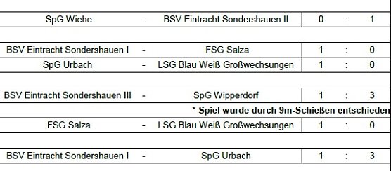 Endstand Kreismeisterschaft im Hallenfußball der Junioren (3) (Foto: NTKFA) Endstand Kreismeisterschaft im Hallenfußball der Junioren (3) (Foto: NTKFA)