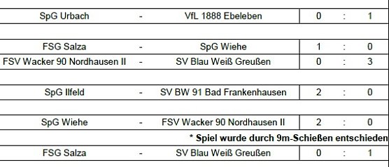 Endstand Kreismeisterschaft im Hallenfußball der Junioren (4) (Foto: NTKFA) Endstand Kreismeisterschaft im Hallenfußball der Junioren (4) (Foto: NTKFA)