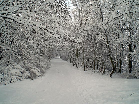Winter in Artern (Foto: Klaus Henze)