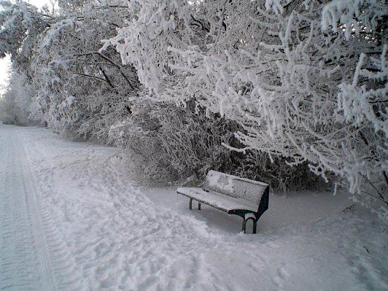 Winter in Artern (Foto: Klaus Henze)