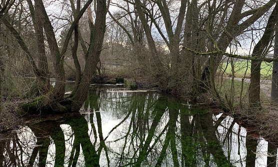wetter (Foto: oas) wetter (Foto: oas)