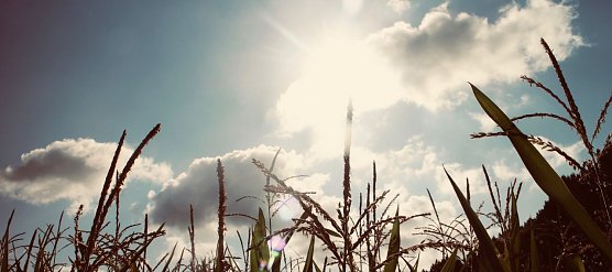 Wetterbild (Foto: Angelo Glashagel)