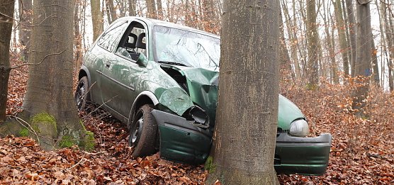 auto im Wald (Foto: S.Dietzel)