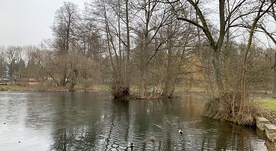 wetter (Foto: oas) wetter (Foto: oas)