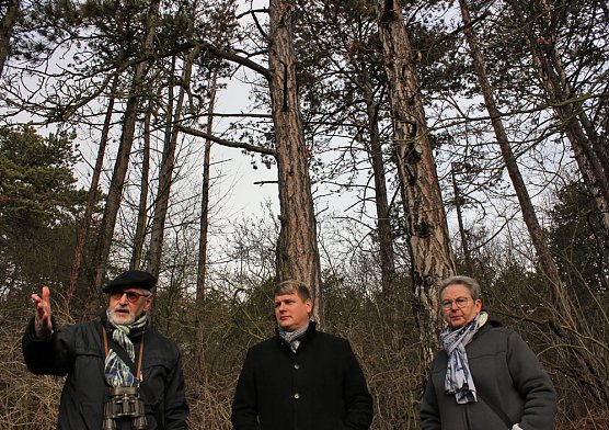 Ist das Knopfmacherhölzchen zu retten?... (Foto: Marion Haas) Ist das Knopfmacherhölzchen zu retten?... (Foto: Marion Haas)