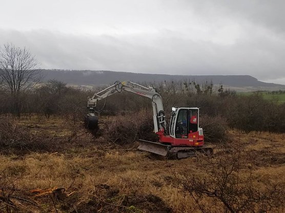 Natura 2000-Station erhält wertvolle Lebensräume (Foto: Natura 2000-Station Südharz/Kyffhäuser) Natura 2000-Station erhält wertvolle Lebensräume (Foto: Natura 2000-Station Südharz/Kyffhäuser)