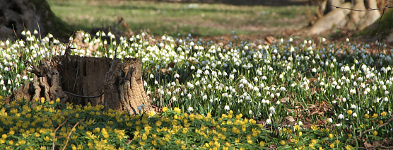 Wetterbild (Foto: Angelo Glashagel) Wetterbild (Foto: Angelo Glashagel)
