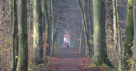 Ein Waldbesuch bietet Einsamkeit und Stille � in Zeiten der allgegenw&auml;rtigen Corona-Diskussion gleichsam ein Zufluchtsort (Foto: Th&uuml;ringenForst, Dr. Horst Spro&szlig;mann)