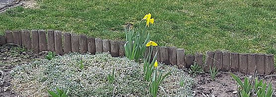 Erfreulich: Neue Termine (Foto: privat)