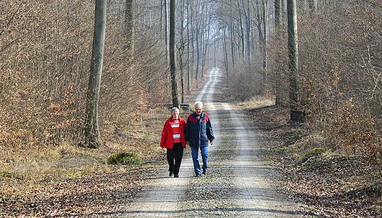 Große Solidarität bei Waldbesuchern (Foto: ThüringenForst) Große Solidarität bei Waldbesuchern (Foto: ThüringenForst)