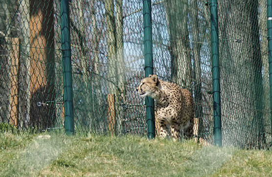 Besuch auf dem Possen (Foto: Jürgen Friedling) Besuch auf dem Possen (Foto: Jürgen Friedling)