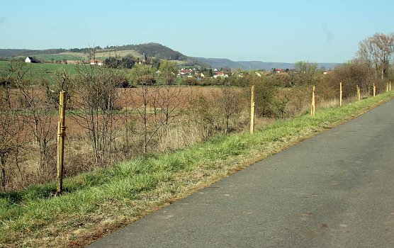 Obstbäume gepflanzt (Foto: Karl-Heinz Herrmann) Obstbäume gepflanzt (Foto: Karl-Heinz Herrmann)