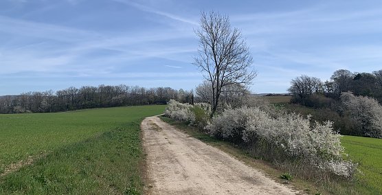 wetter (Foto: oas) wetter (Foto: oas)
