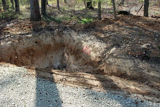 Sanierter Forstweg &uuml;bergeben (Foto: Karl-Heinz Herrmann)