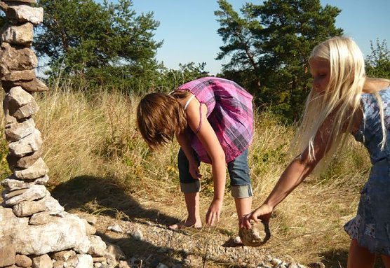 Biennale (Foto: privat) Biennale (Foto: privat)