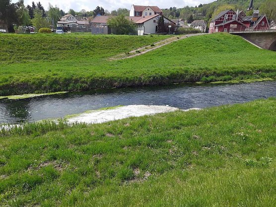 Harmlose Erscheinung (Foto: Karl-Heinz Herrmann) Harmlose Erscheinung (Foto: Karl-Heinz Herrmann)