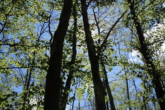 Wetterbild (Foto: Angelo Glashagel)
